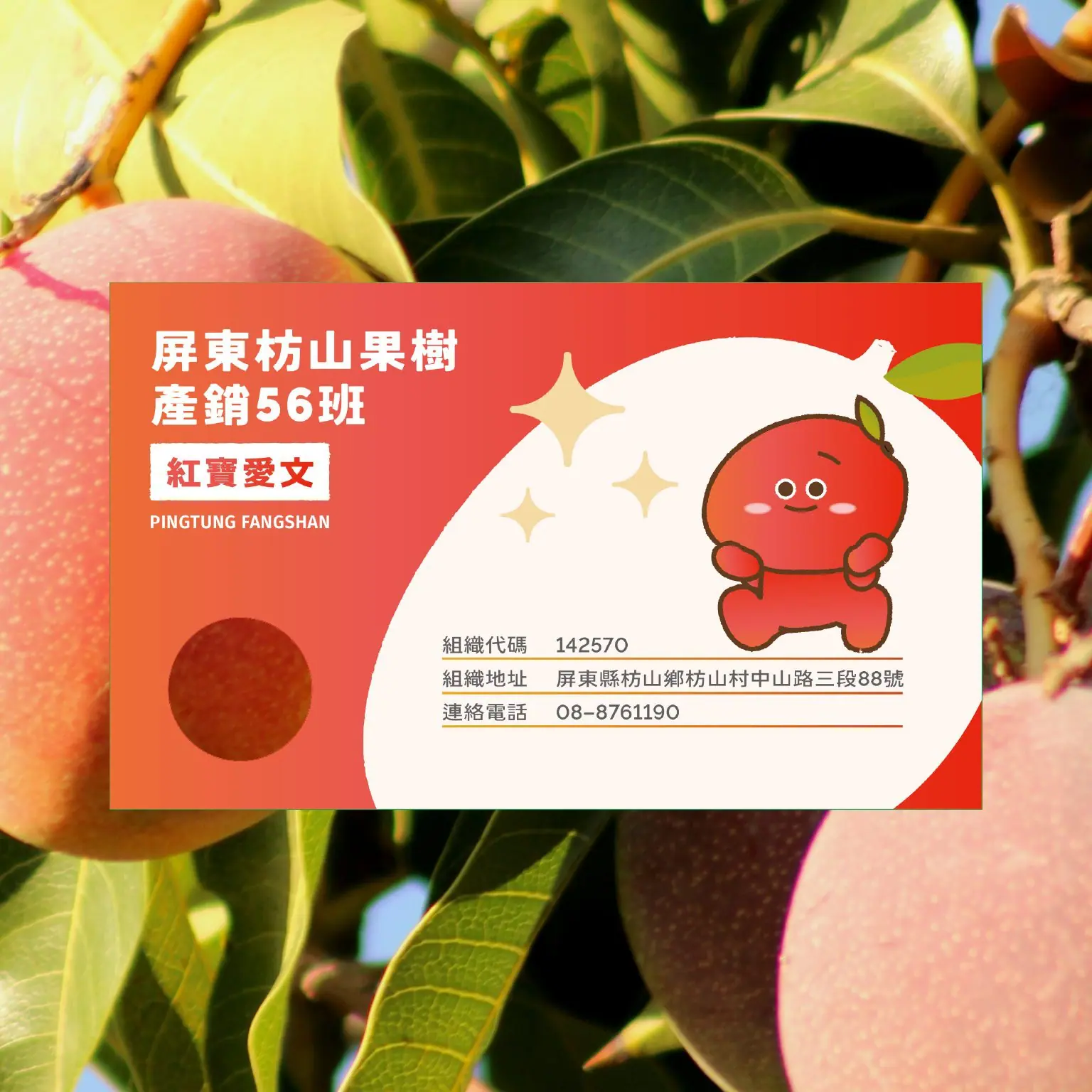 紅寶愛文品牌小卡正面,芒果樹葉背景情境照|好心地文創