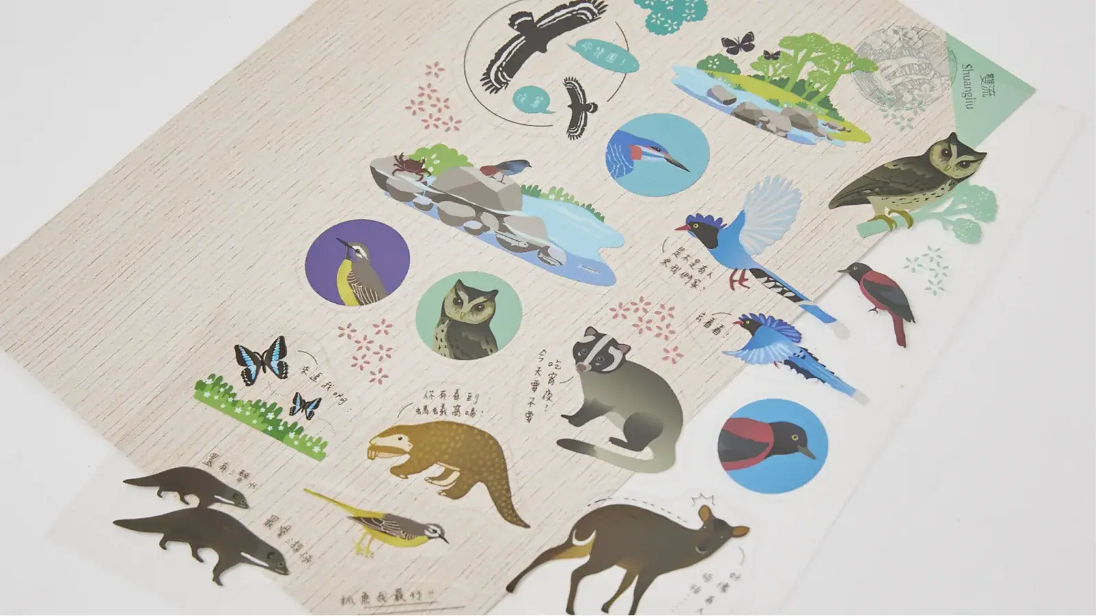 Forest Made sticker field guide and wildlife illustration product photography
