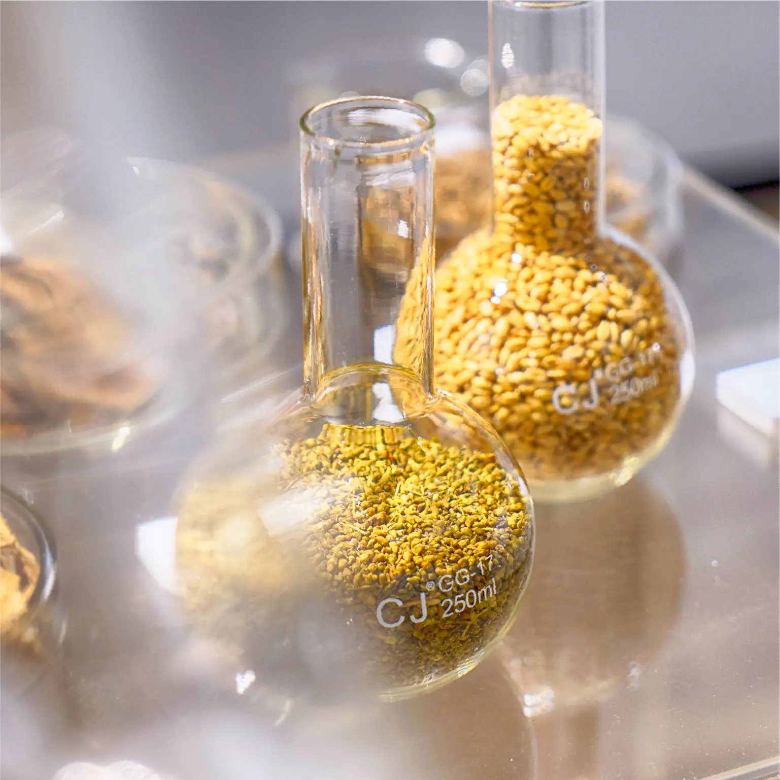 Herbal medicine displayed in beakers and test tubes as scientific symbols at the Sincere Faith Heals exhibition