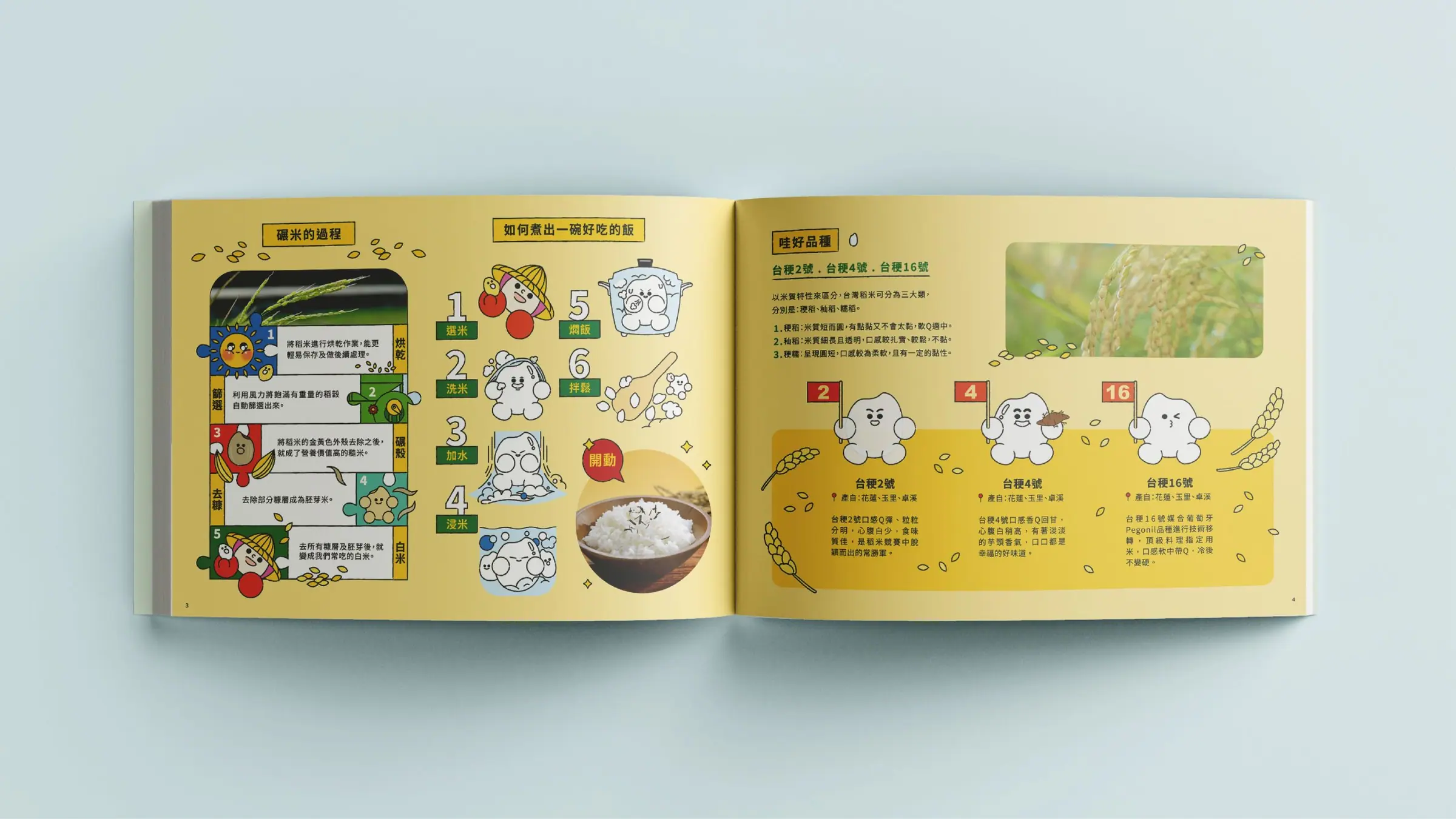 花蓮哇好米型錄內頁:碾米過程與煮飯步驟食農教育插畫|好心地文創