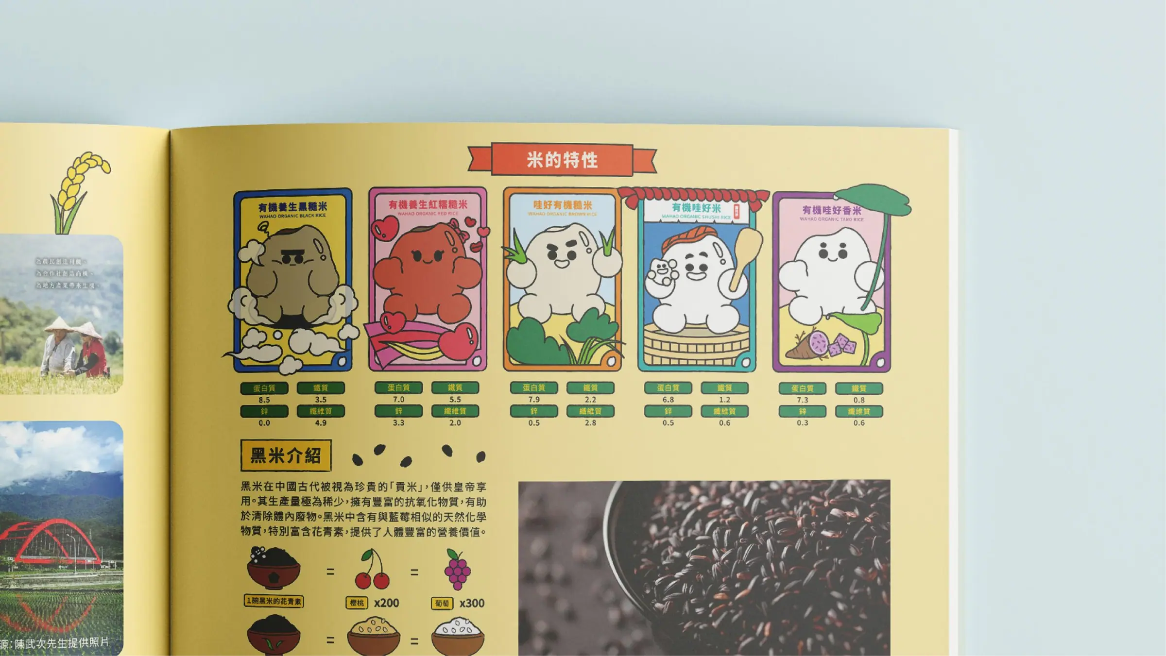花蓮哇好米型錄內頁:米粒角色卡片式營養成分比較|好心地文創